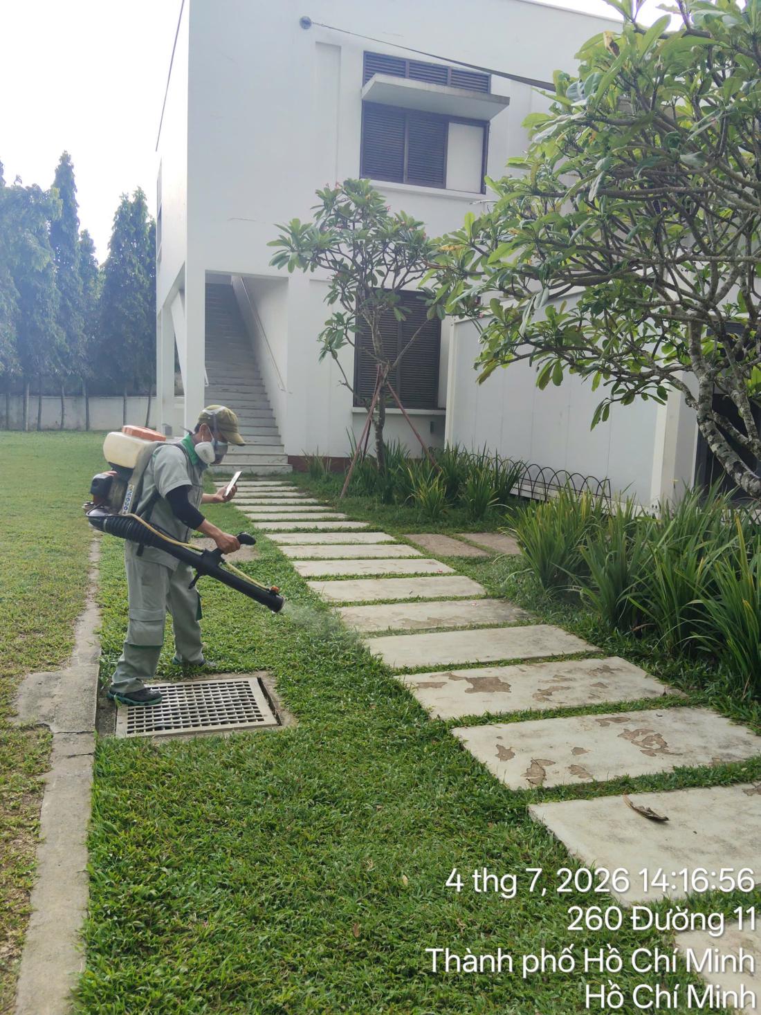Xử lý vành đai cây xanh sát tường rào — nơi côn trùng bay trú ban ngày tại trường học