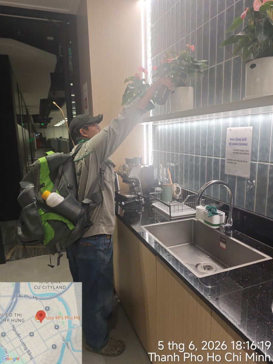 Diệt chuột, gián, kiến cho văn phòng và toà nhà — làm ngoài giờ làm việc
