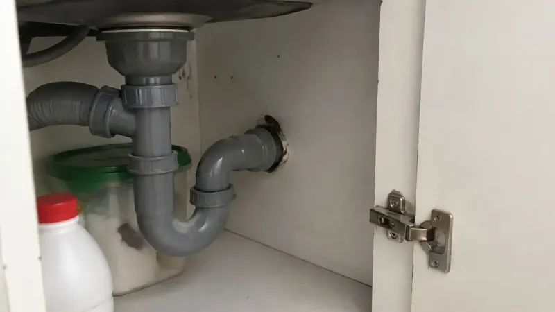 Gầm bồn rửa bếp có đường ống thoát nước, nơi gián và kiến trú