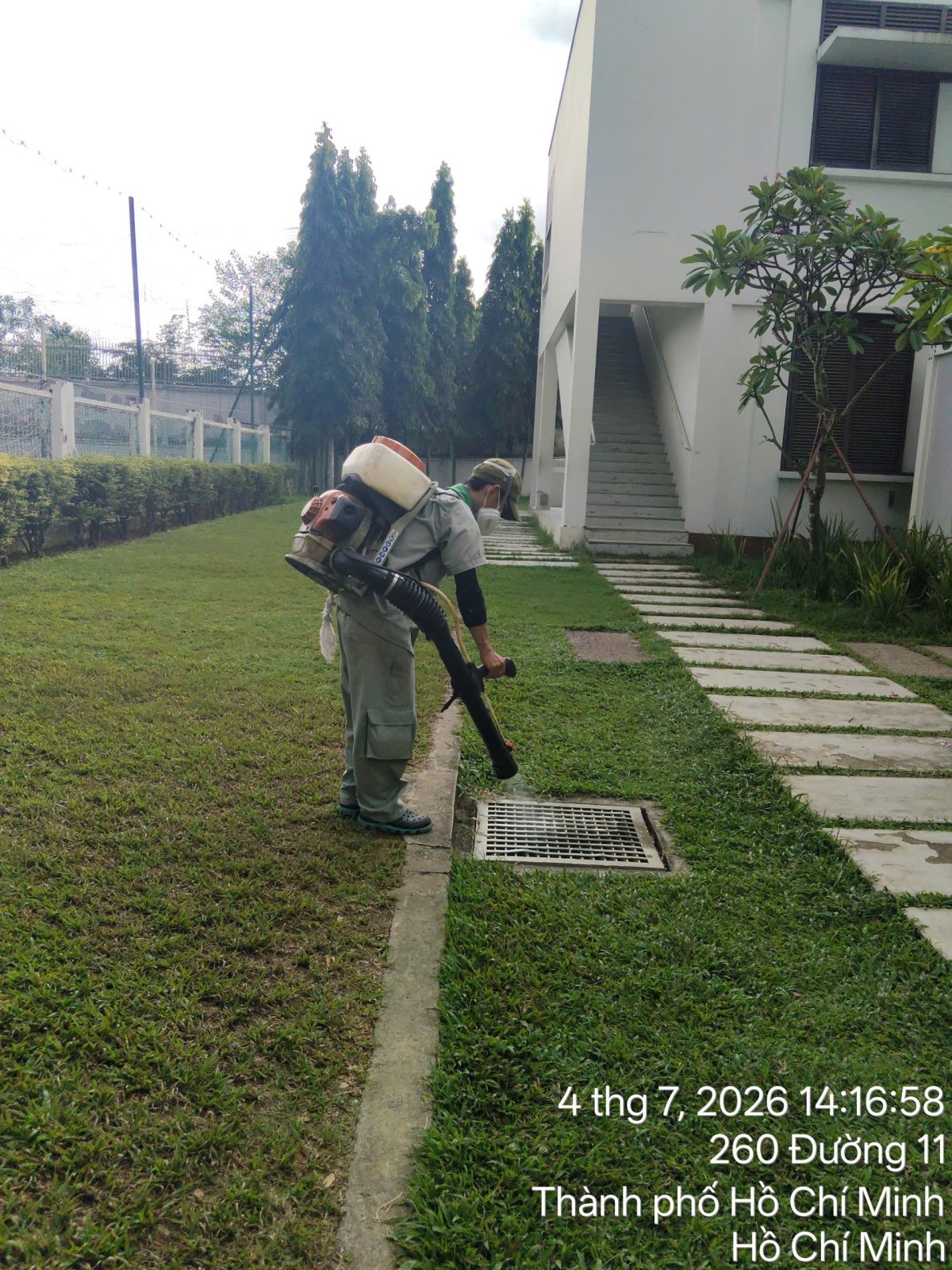 Phun thuốc quanh miệng cống thoát nước giáp bãi cỏ, nơi muỗi hay trú