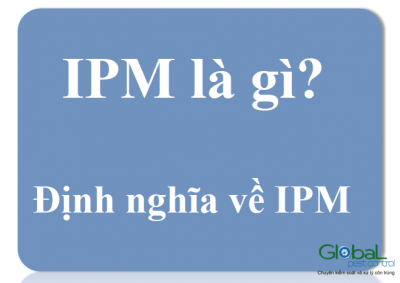 IPM là gì? Chương trình kiểm soát và diệt côn trùng tổng hợp IPM