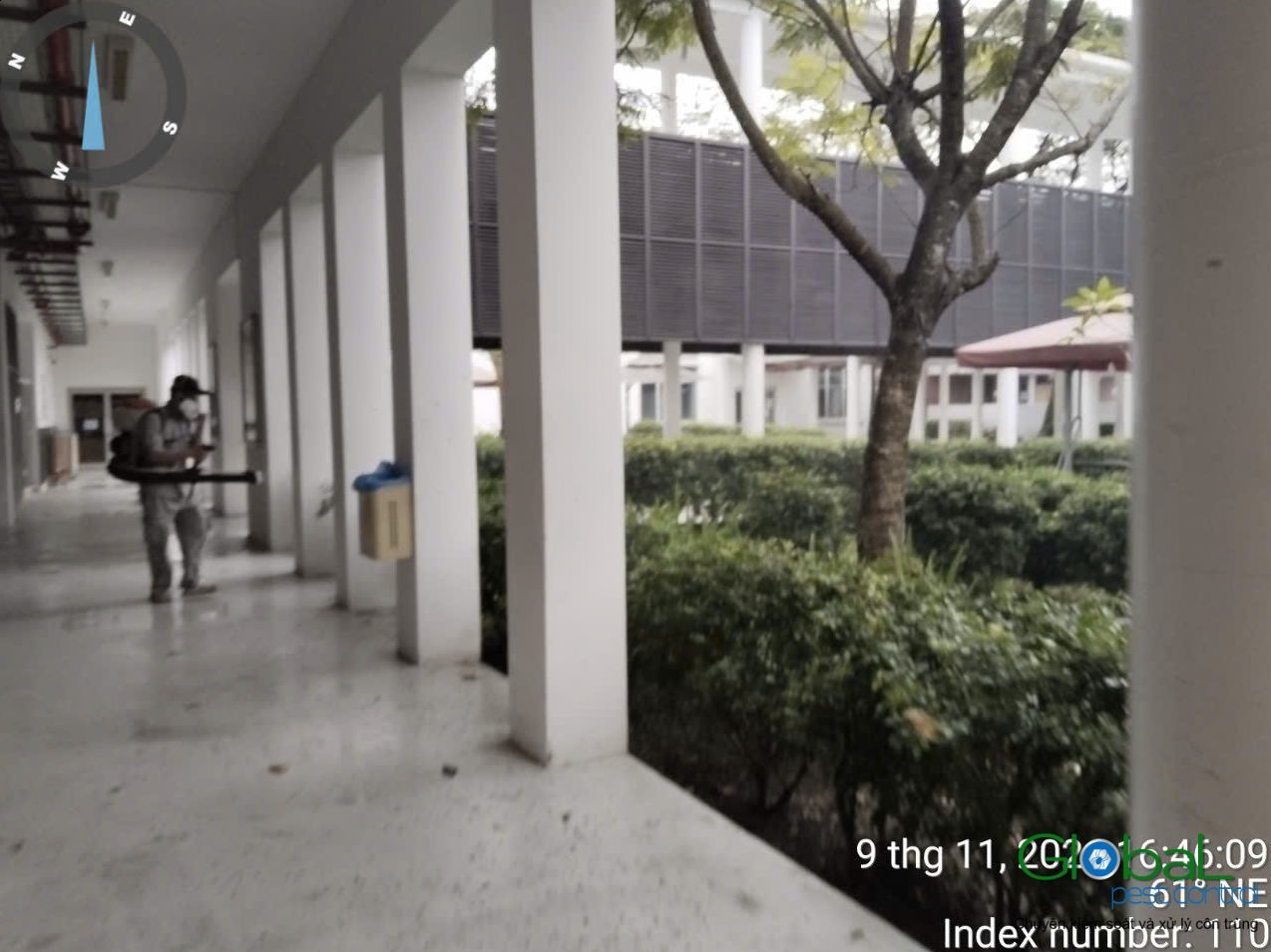 5 Lý Do Bạn Nên Sử Dụng Dịch Vụ Diệt Côn Trùng Định Kỳ