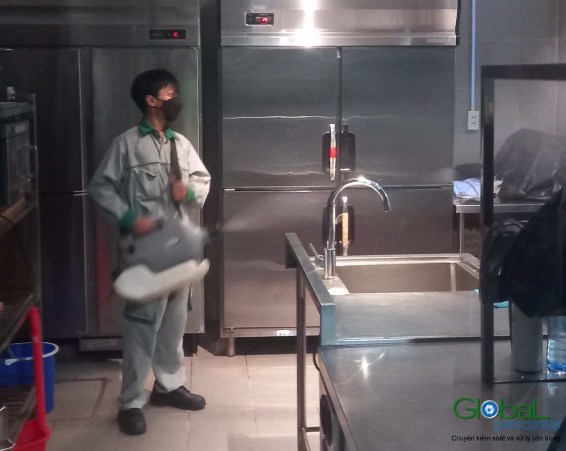 Bí Quyết Phòng Ngừa Muỗi Trong Không Gian Sống Tại Căn Hộ