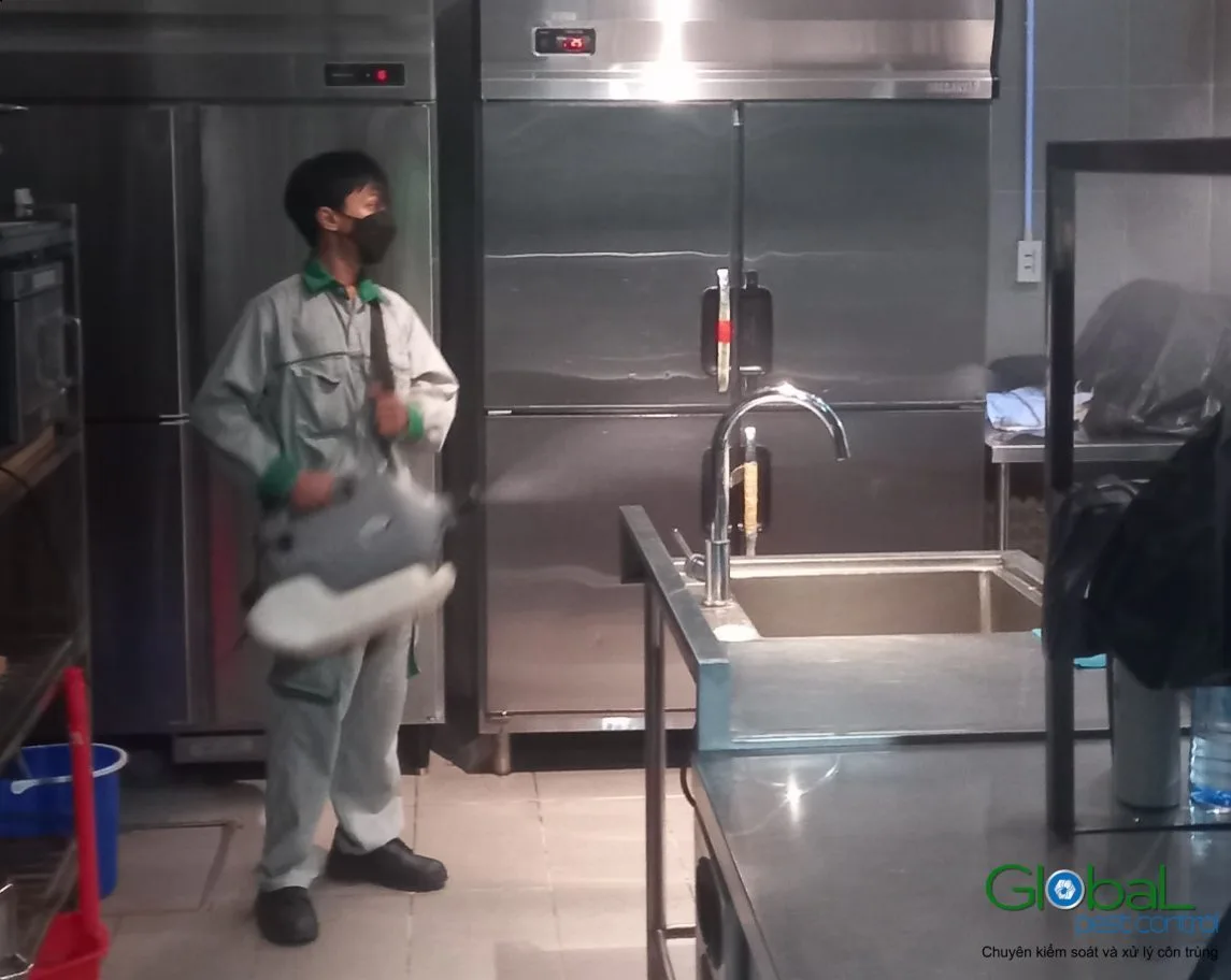 Muỗi trong căn hộ sinh ra từ chỗ nào?