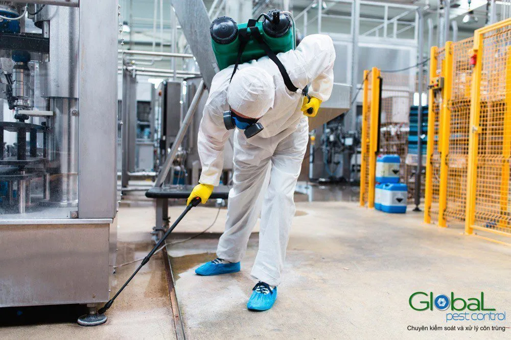Diệt muỗi cho văn phòng tại TP.HCM: nguồn nằm ở đâu