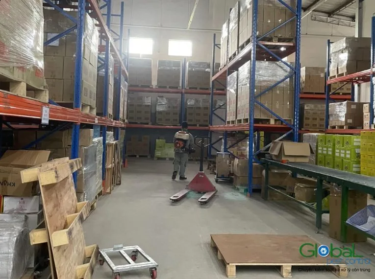 Chọn nhà thầu diệt chuột nhà máy: bốn tiêu chí