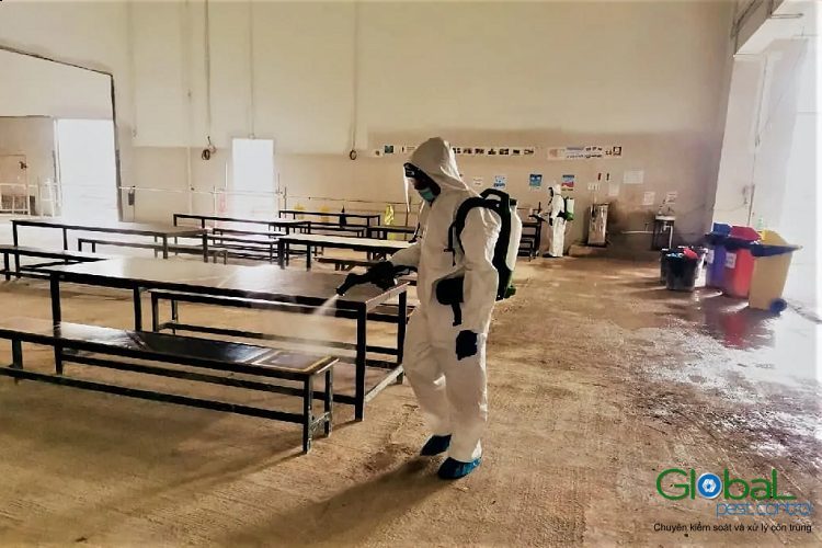 Dịch vụ khử trùng tại khu công nghiệp - Công ty Khử Trùng Toàn Cầu