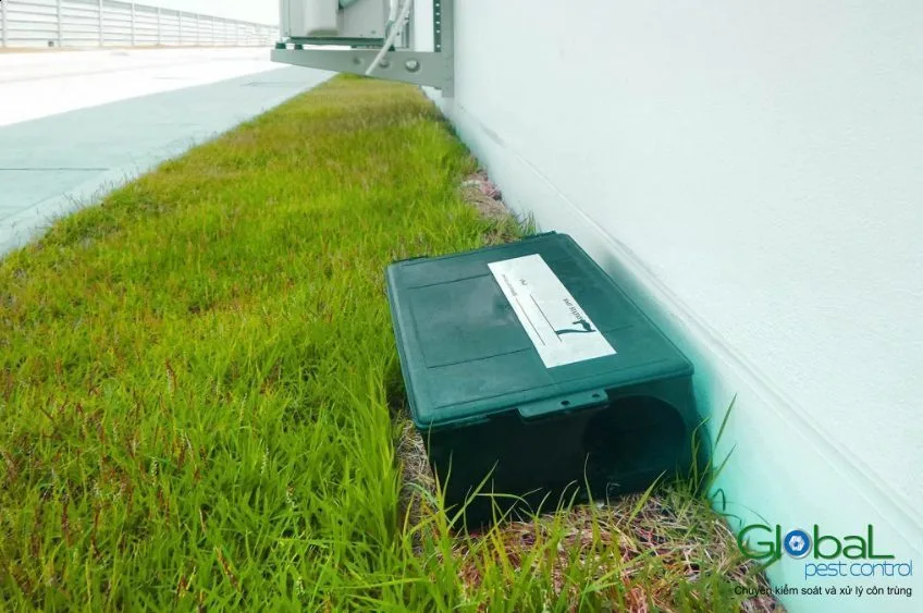 Kiểm soát chuột nhà máy theo tiêu chuẩn ISO