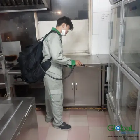 Kỹ thuật viên đeo bình phun lưng xử lý côn trùng trong bếp nhà hàng