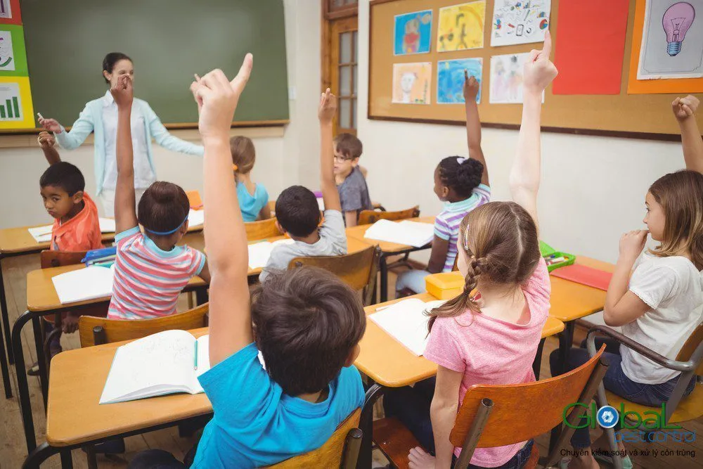 Trường học xử lý chuột vào lúc nào?