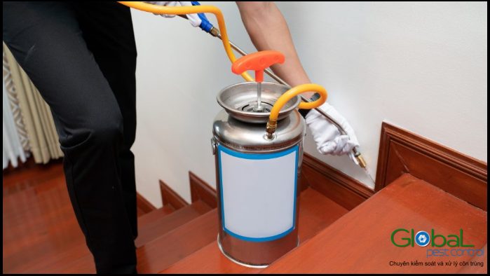 Lời khuyên để chọn nhà cung cấp dịch vụ kiểm soát côn trùng gây hại chất lượng