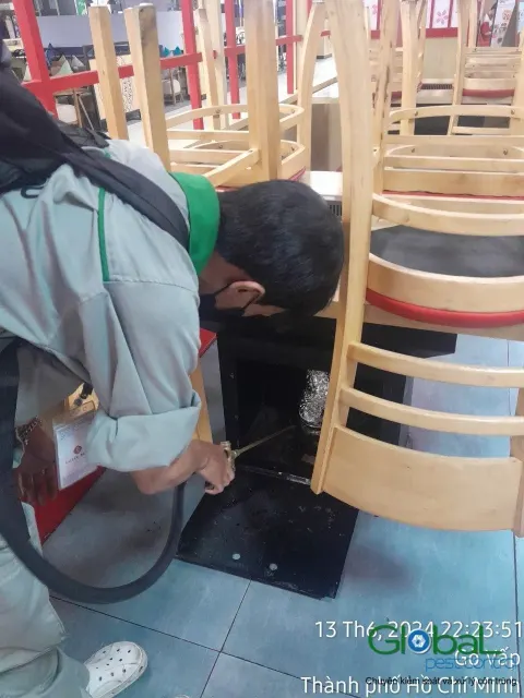 Kỹ thuật viên phun thuốc diệt gián dưới gầm ghế xếp chồng trong nhà hàng