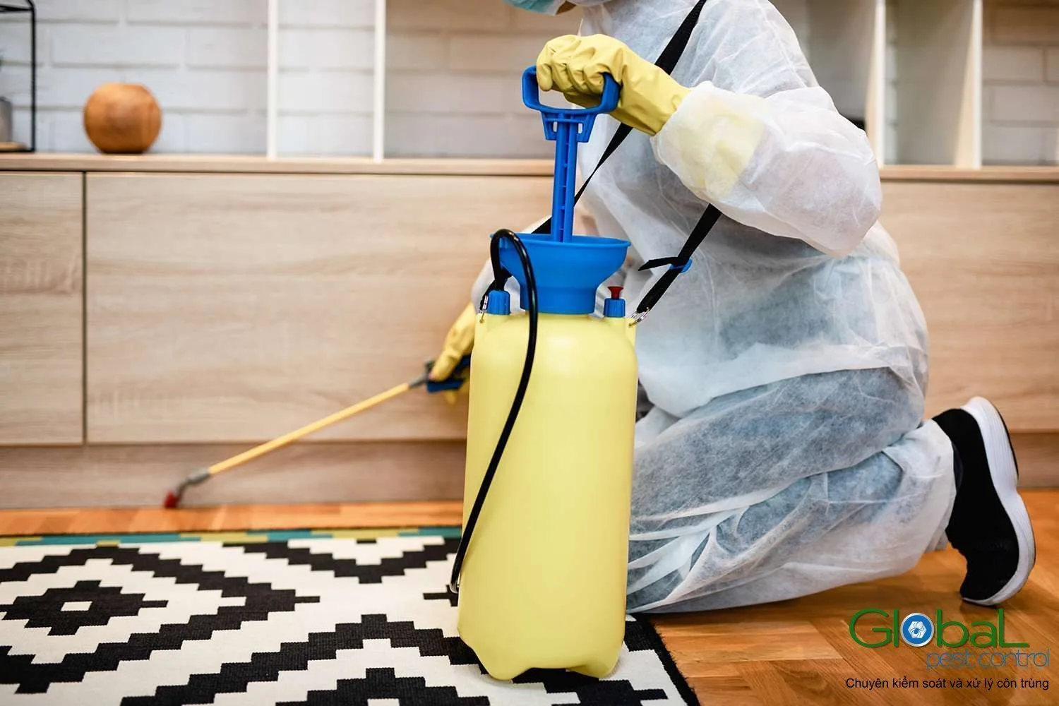 Công ty diệt kiến làm đúng khác chỗ nào