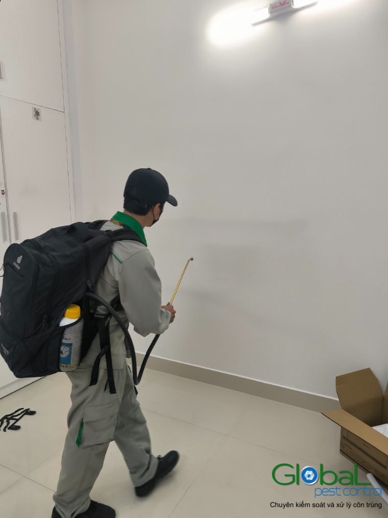Kiến cánh bay vào nhà là điềm gì? Quan niệm và thực tế
