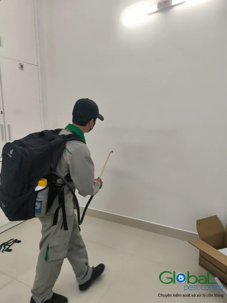 Kiến cánh bay vào nhà là điềm gì?