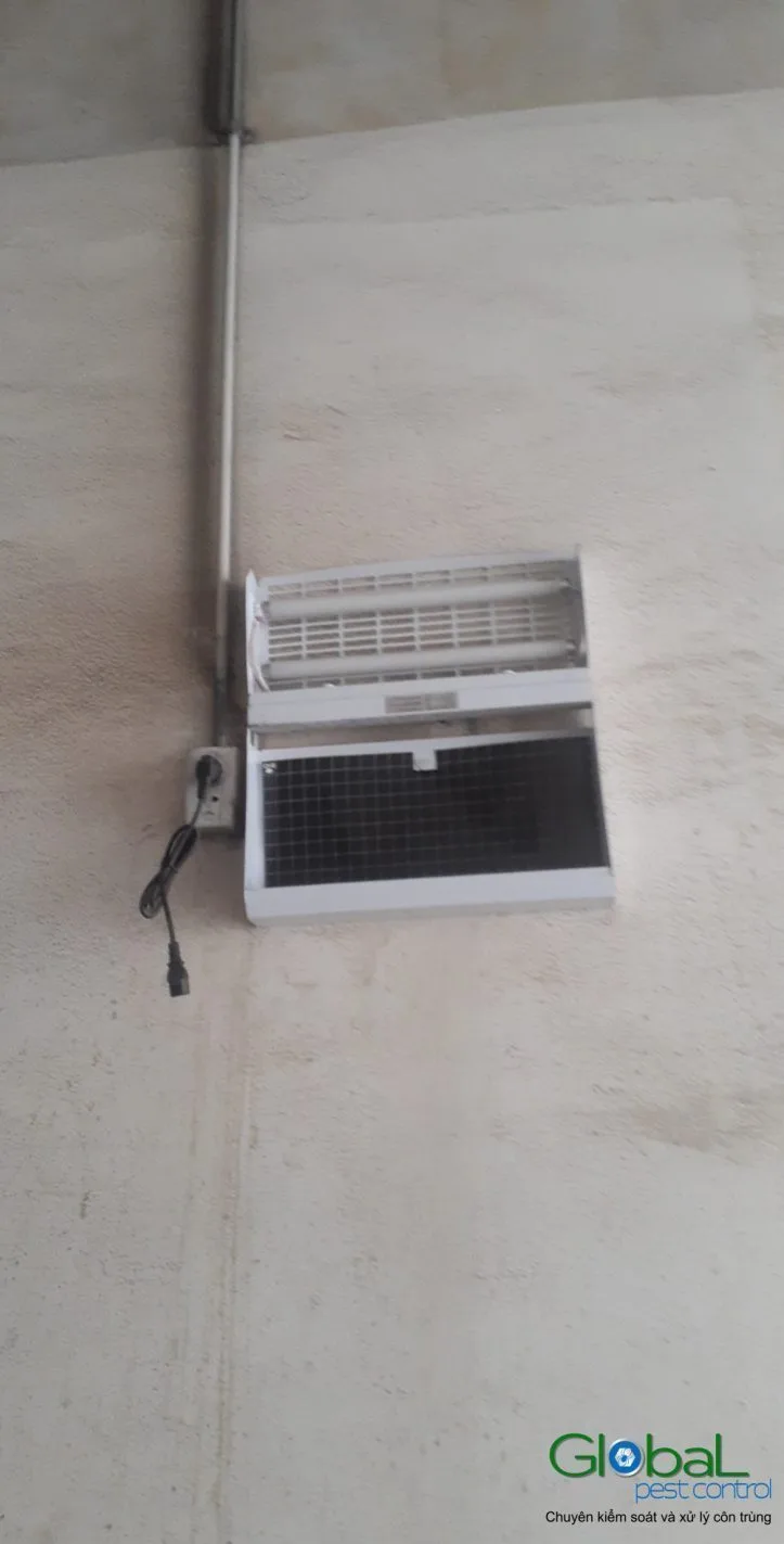 Đèn diệt côn trùng treo tường hành lang nhà máy sản xuất, đi dây điện gọn