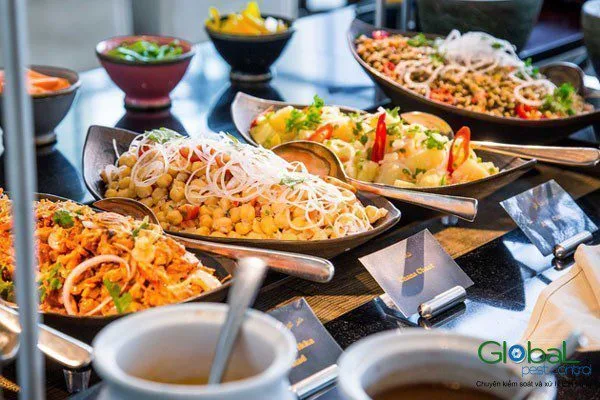 Một đợt xử lý gián cho nhà hàng diễn ra thế nào