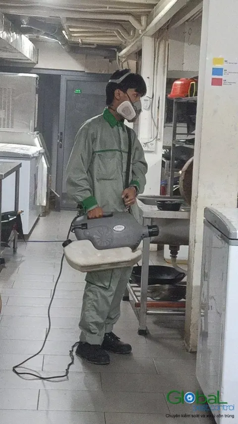 Kỹ thuật viên dùng máy phun mù lạnh xử lý côn trùng trong bếp