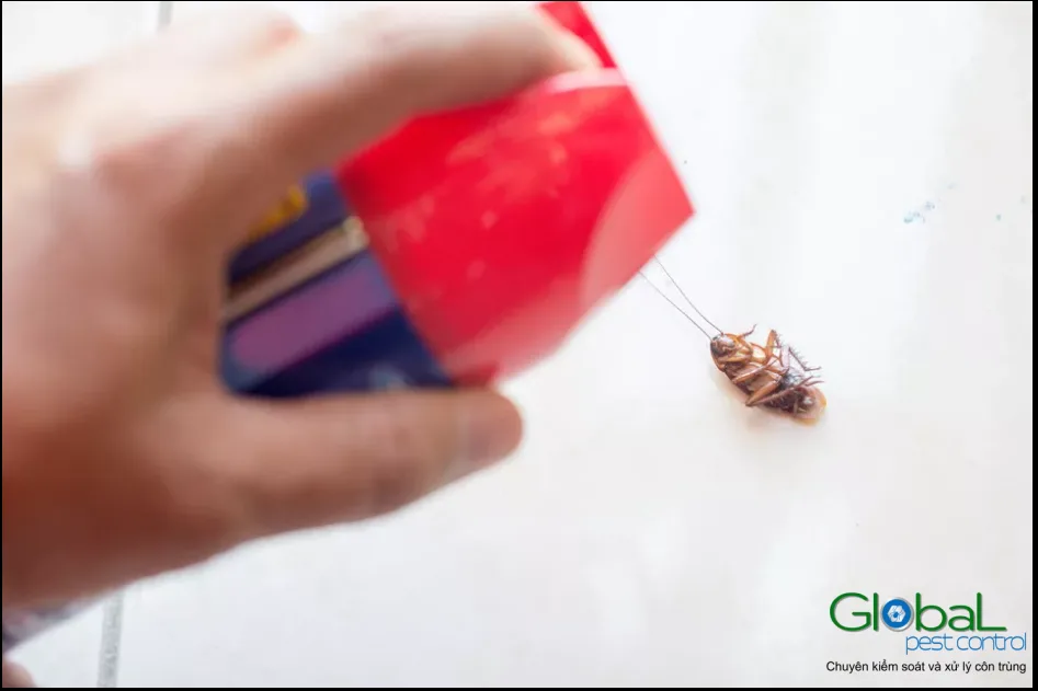 Mẹo dân gian đuổi côn trùng có tác dụng không?