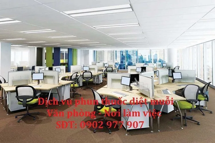 Côn trùng trong văn phòng: rủi ro với doanh nghiệp nhỏ