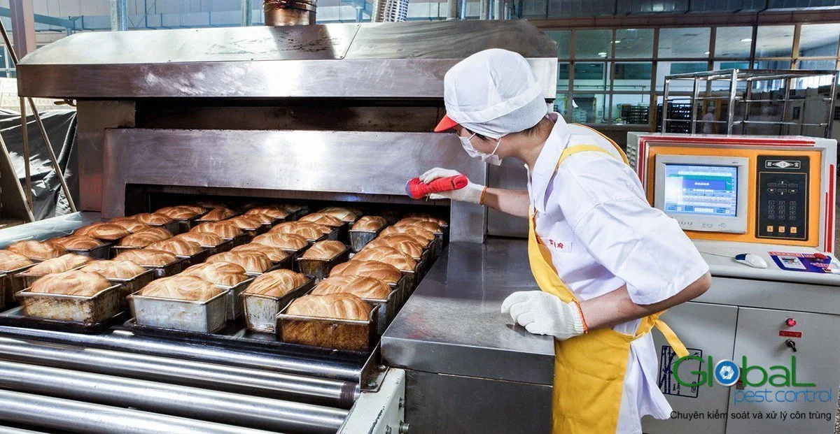 Lập kế hoạch kiểm soát côn trùng cho cơ sở thực phẩm