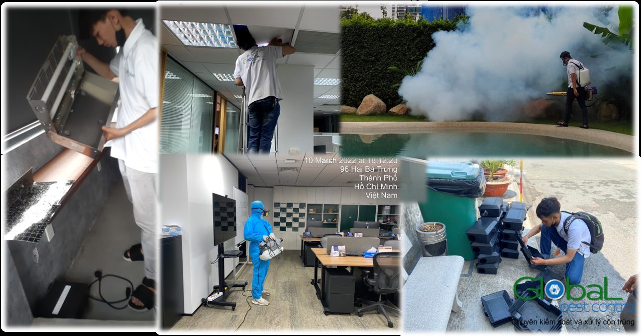 Dịch vụ phun diệt Muỗi tại nhà, căn hộ, nhà riêng, biệt thự, villa...