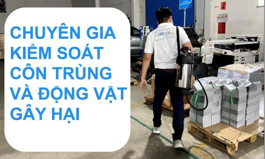 Báo cáo kiểm soát côn trùng cuối năm gồm gì