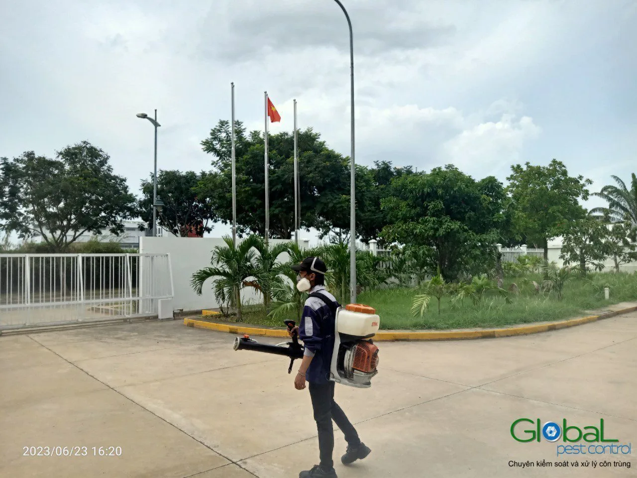 Vì sao mùa mưa côn trùng vào nhà nhiều hơn?
