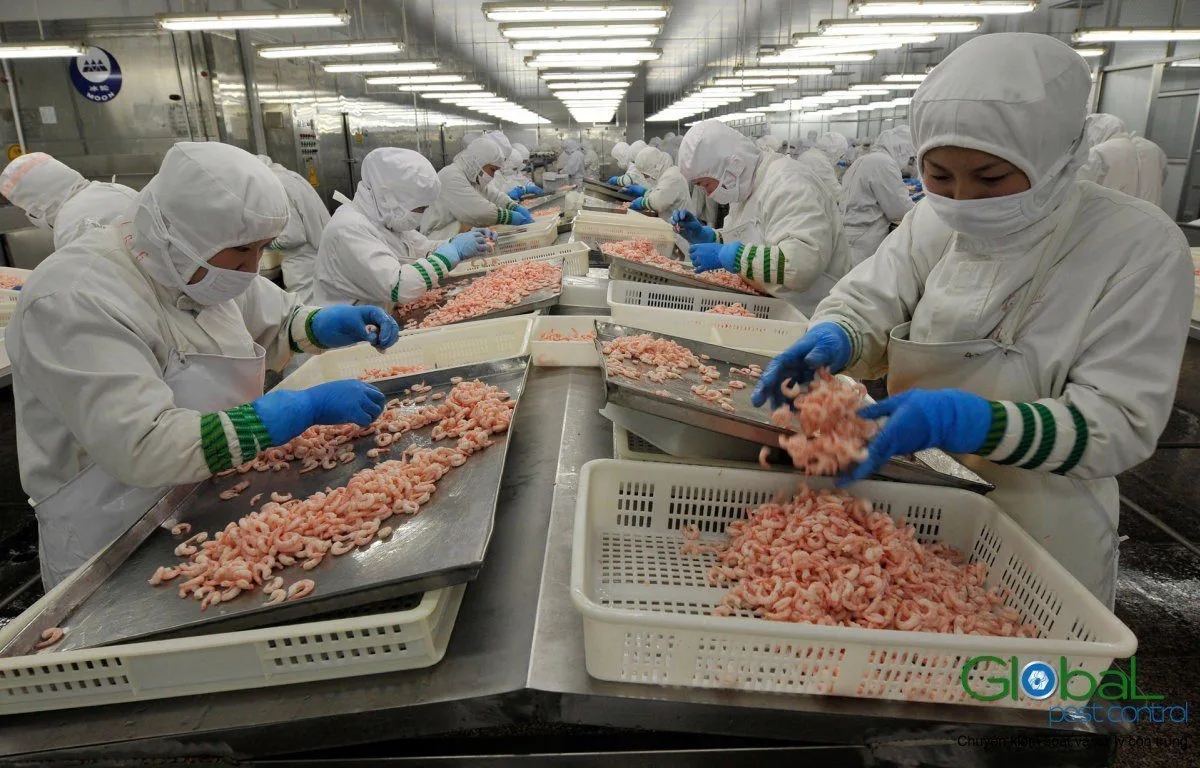 Chặn côn trùng xâm nhập nhà máy thực phẩm