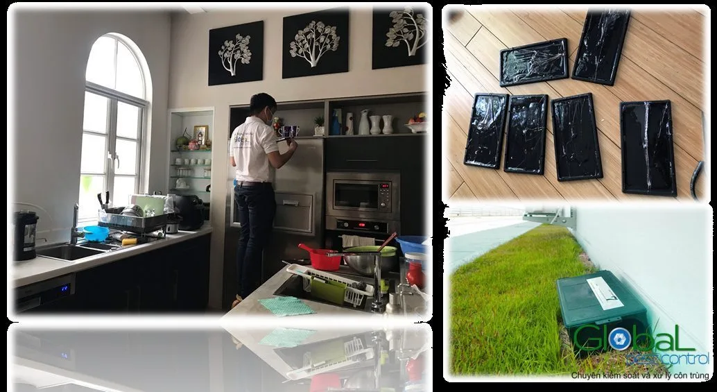 Dấu hiệu nhà hàng có chuột và thiệt hại
