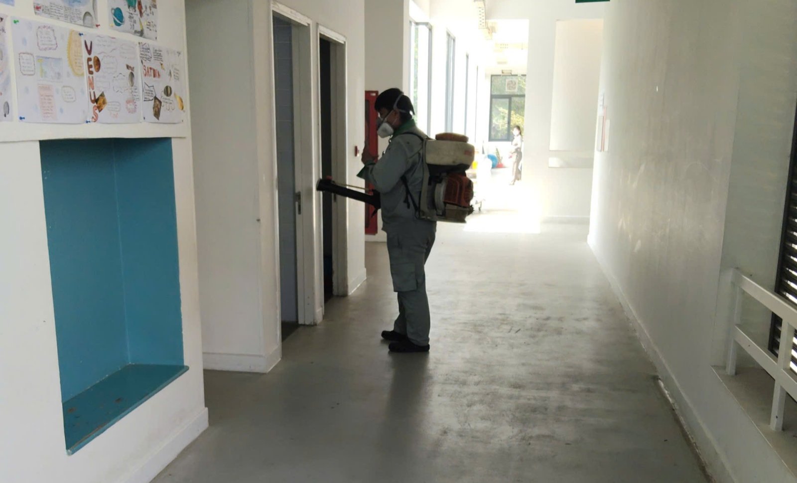 Mối và rệp trong trường học, ký túc xá: hai loài phá hoại âm thầm