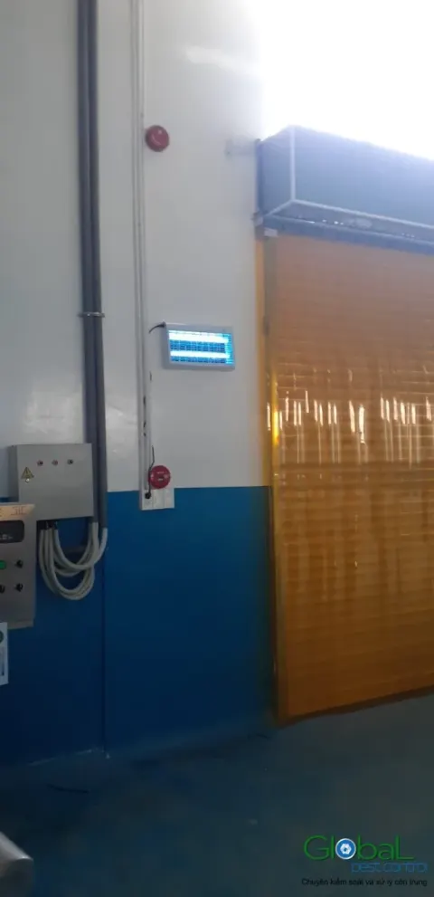 Đèn diệt côn trùng tấm keo lắp cạnh cửa cuốn lối nhận hàng