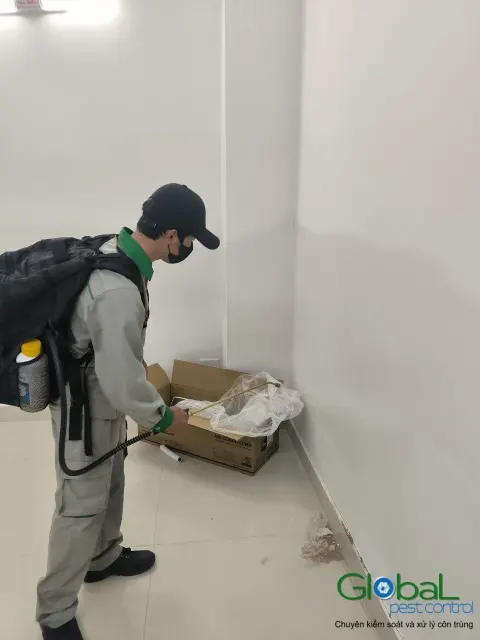 Kỹ thuật viên phun thuốc diệt côn trùng khu vực hộp carton trên sàn