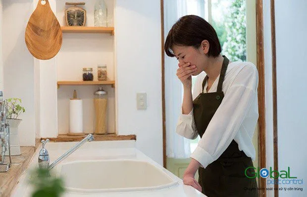 Làm thế nào để xử lý và thoát khỏi mùi gián?