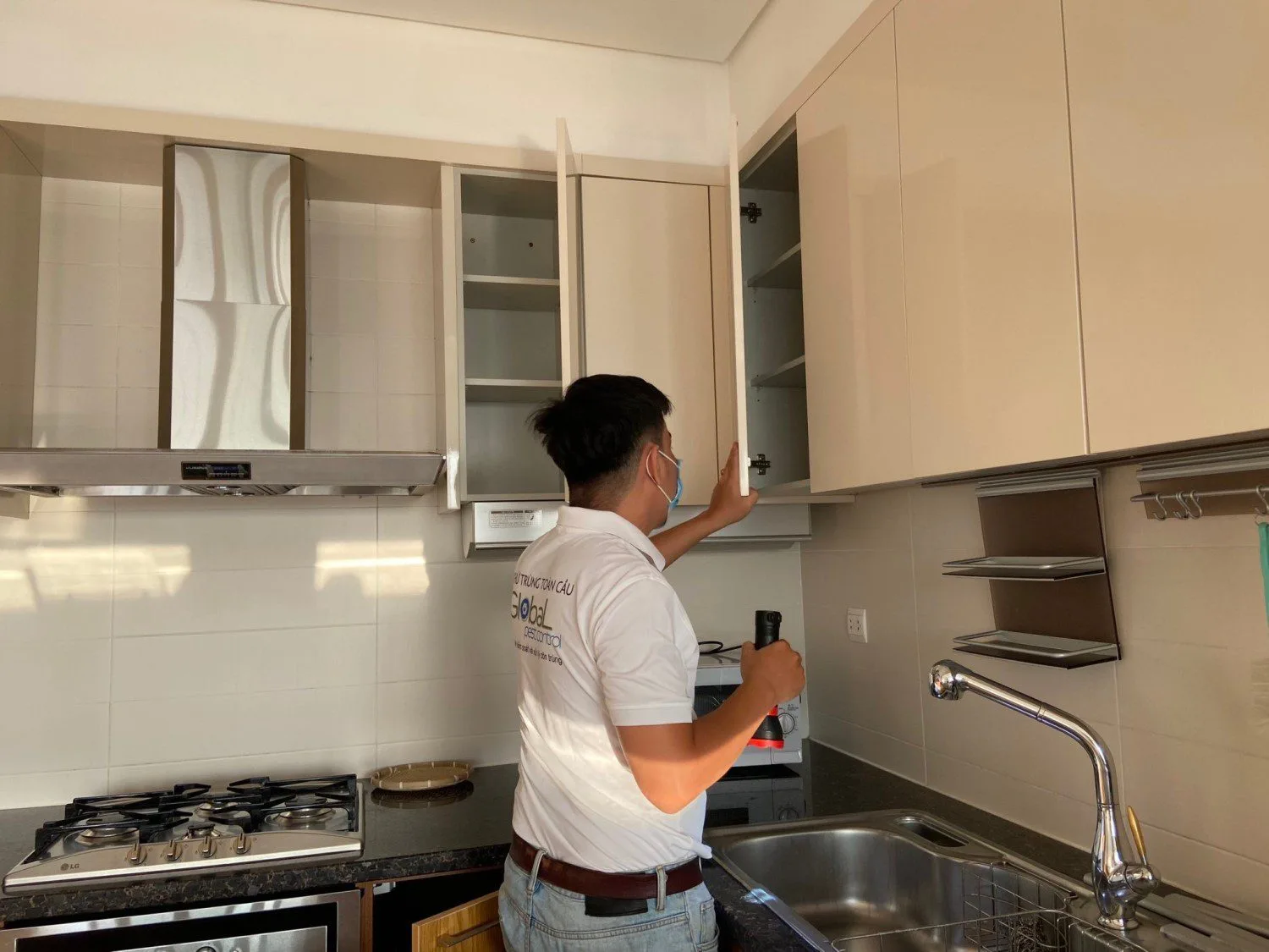 Tự diệt mối bằng axit boric có hiệu quả không?