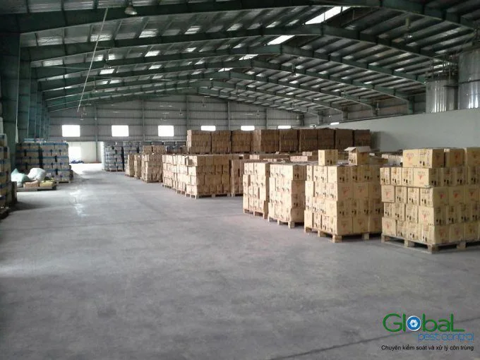 Rủi ro côn trùng trong nhà xưởng mà doanh nghiệp hay bỏ qua