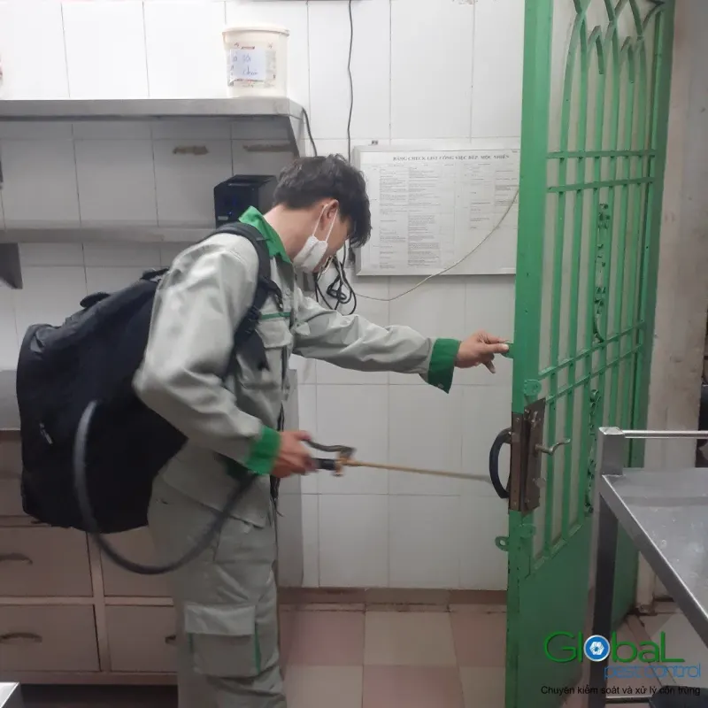 Kỹ thuật viên phun thuốc diệt côn trùng khu cửa sau bếp nhà hàng