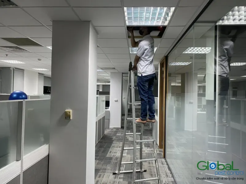 Kỹ thuật viên áo trắng đứng thang mở tấm trần giả văn phòng để kiểm tra bên trên