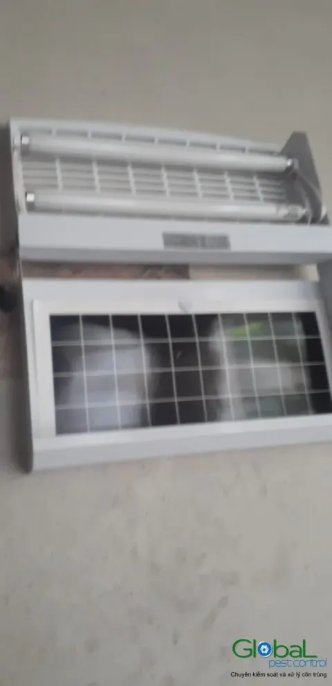 Đèn diệt côn trùng bằng keo dính vừa lắp trên tường nhà máy sản xuất
