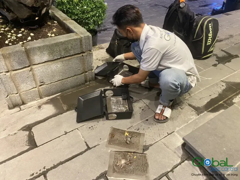 Kỹ thuật viên lắp trạm bả chuột trên vỉa hè