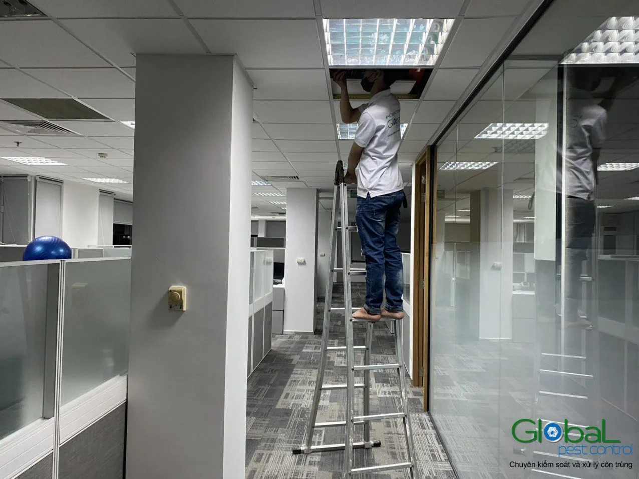 Diệt chuột văn phòng tính giá theo gì?