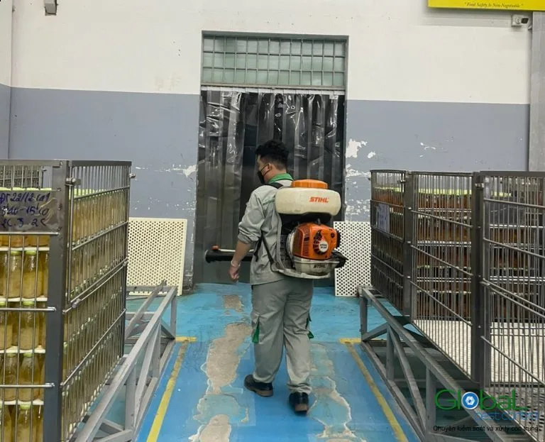 Các phương pháp diệt chuột nhà máy khác gì nhau