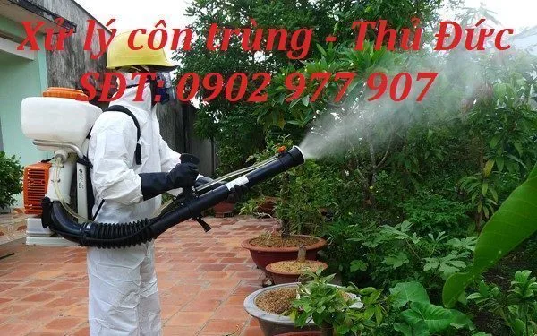 Diệt côn trùng tại Thủ Đức: 7 điểm cần khảo sát