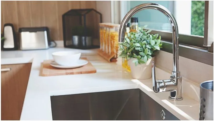 Vì sao bếp nhà có kiến và bốn bước xử lý