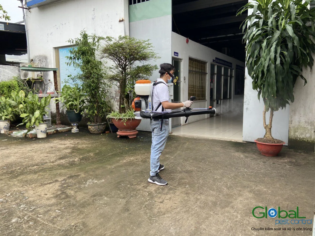 Bảng giá dịch vụ diệt Muỗi mới nhất tại Tp HCM