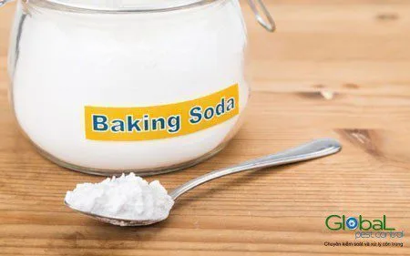 Diệt kiến bằng baking soda có hiệu quả không?