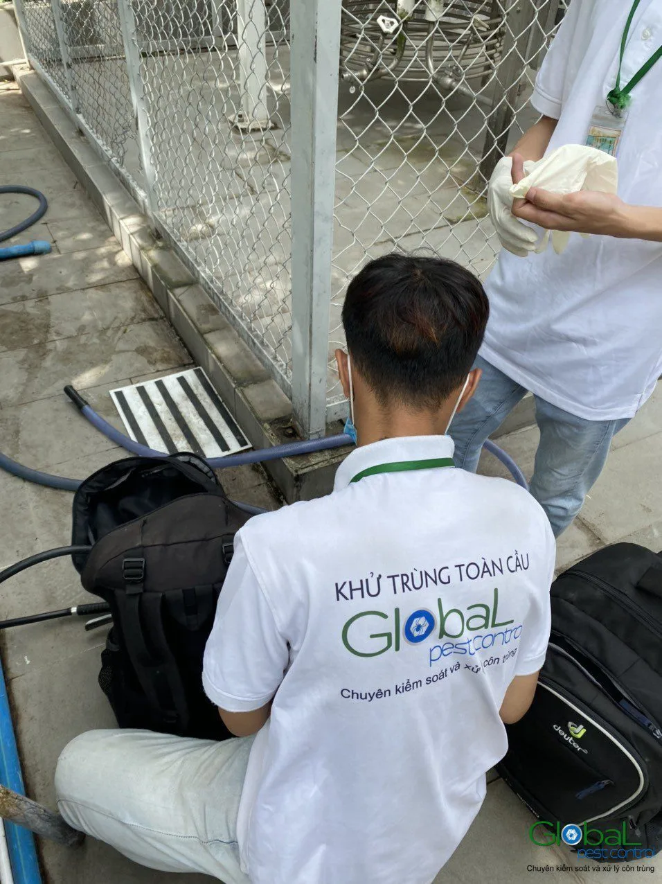 Một chương trình pest control gồm những phần nào?