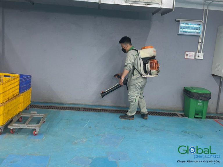 Tại sao bên trong nhà máy luôn có chuột? Khi nào nên gọi cho dịch vụ diệt Chuột?
