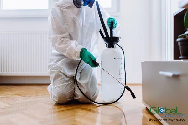 Chi phí diệt gián ở TP.HCM phụ thuộc vào gì?