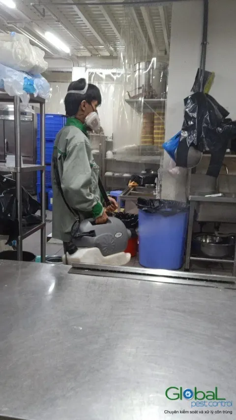 Kỹ thuật viên phun thuốc gầm bếp inox trong bếp công nghiệp